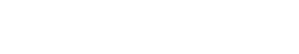 VivaValet Logo